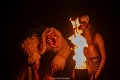 cirque le bruit_-168